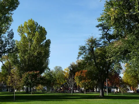 Main Park in Windsor in autumn, big cottonwoods and maples turning over the lawn and the playground beyond
