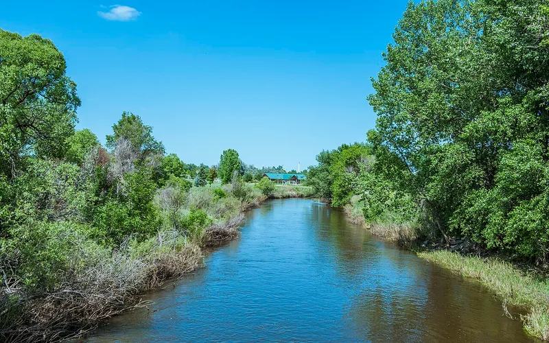 The Cache la Poudre River at Windsor in early summer, slow brown water between cottonwood banks with a green-roofed park shelter beyond