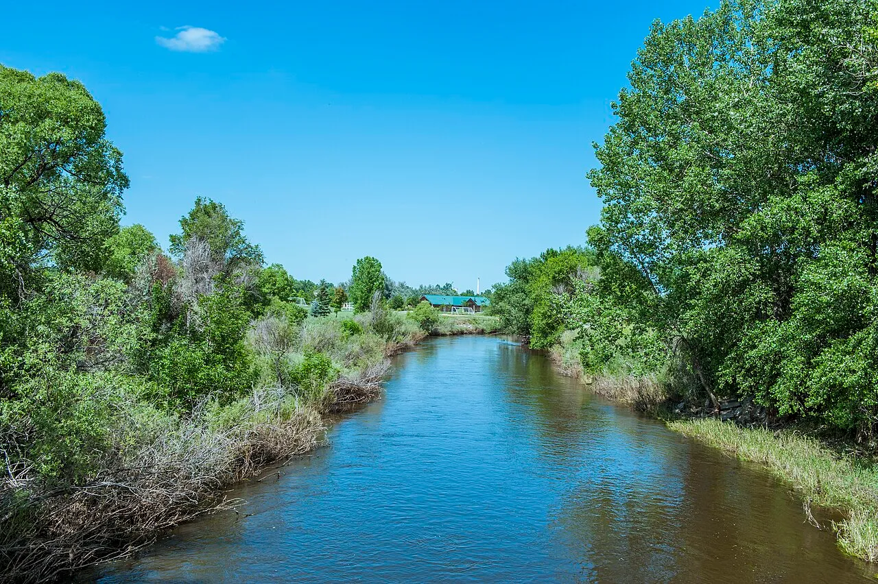 The Cache la Poudre River at Windsor in early summer, slow brown water between cottonwood banks with a green-roofed park shelter beyond